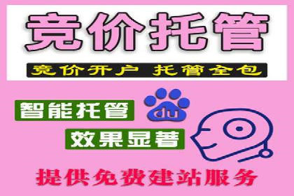 推广信息流在电商行业的应用案例分析